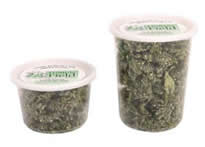 BudsinTubs_000.jpg