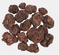 silvervine fruit