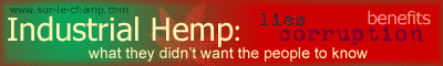 pub_banner_400x60_02.gif