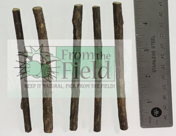 catnip with silver vine sticks
